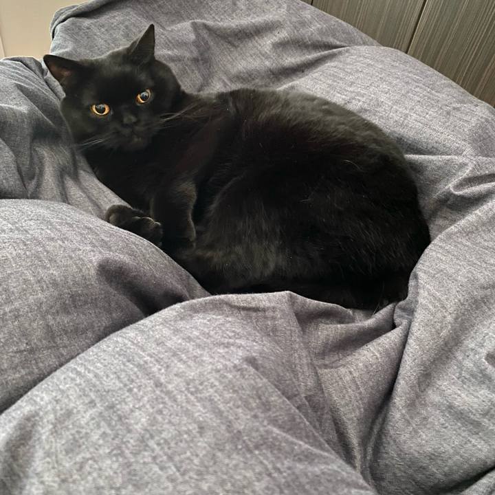 65ecbdec 28b8 4b62 a740 981773d57aaf 1705706312299