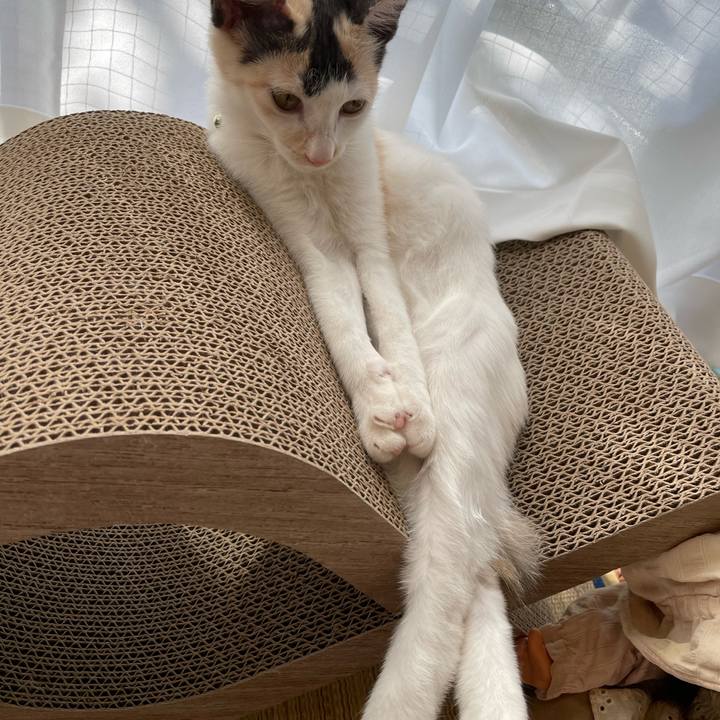 65ece84e 67d2 4cc1 a395 56a4dc9a7cb3 1662765326164