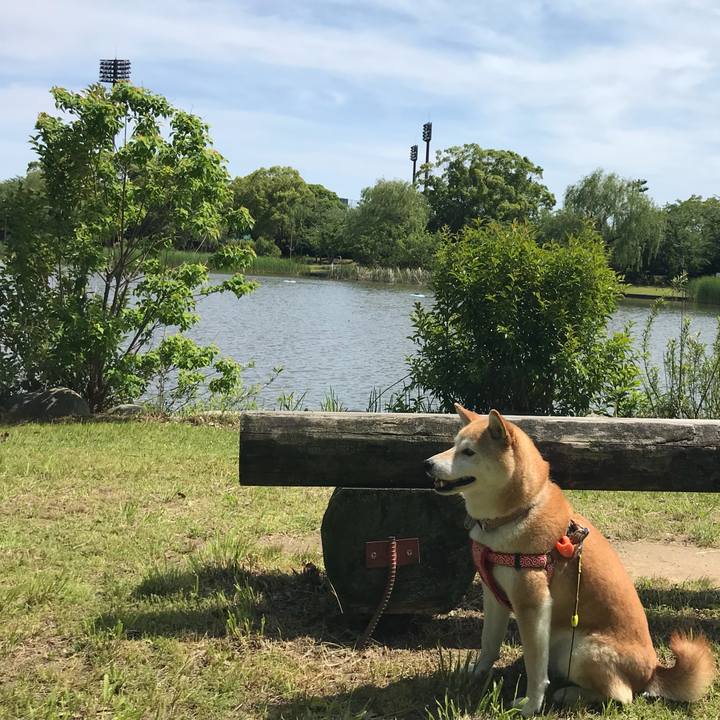 65ecee2b bee8 495d 80b6 4359d4fe8570 1526885704749