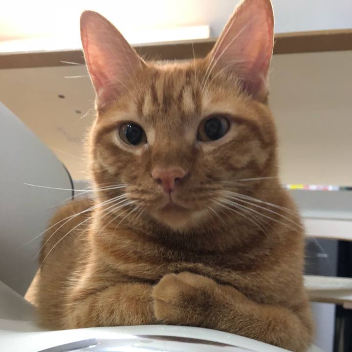 65ecfc6f a5a2 4224 ad62 74387ae6003f 1533997815796