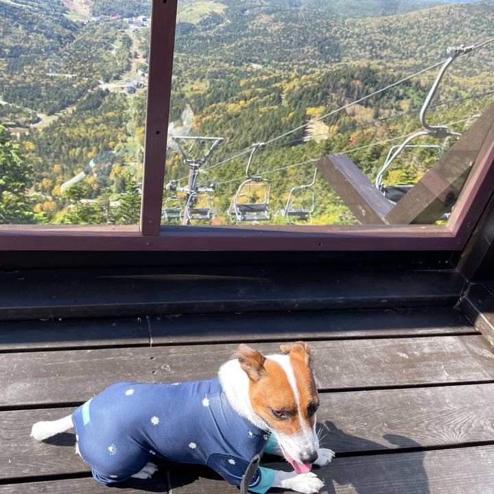 65ed50e8 07da 42e9 bac6 0e88b80a8240 1633343195281