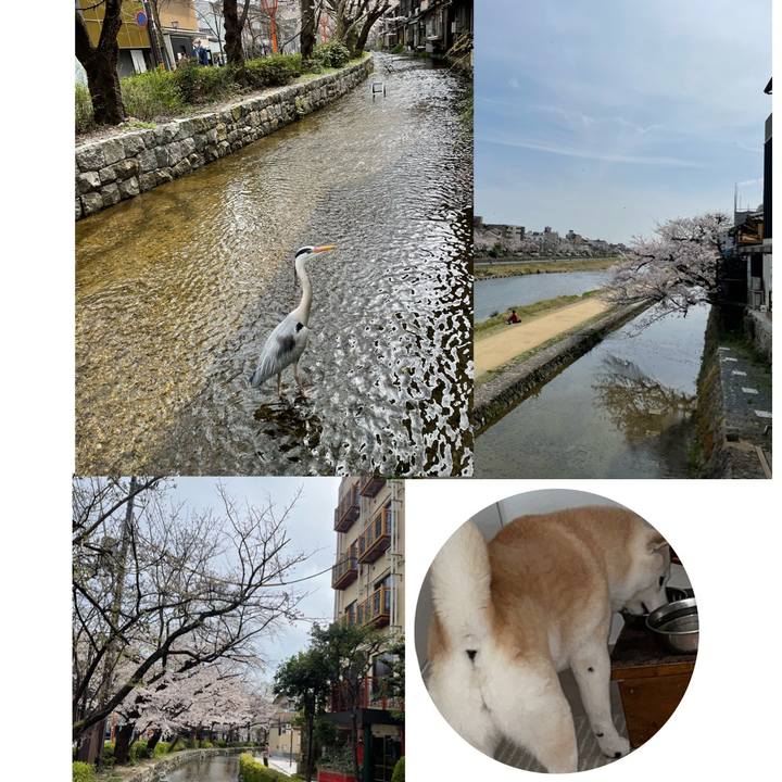 65ed70a2 11ca 431c b8a3 5c626cd6efba 1648682233067