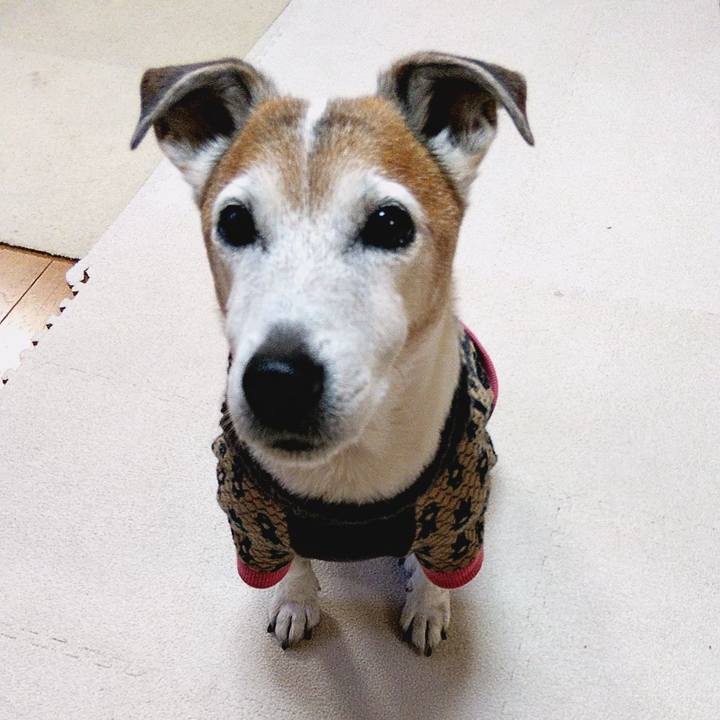 65edb1e6 f72f 424d a0e7 35063320464d 1580855413799