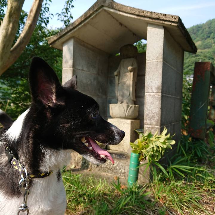 65edd2b6 420d 4411 816c 0244dbd2c319 1531809110515