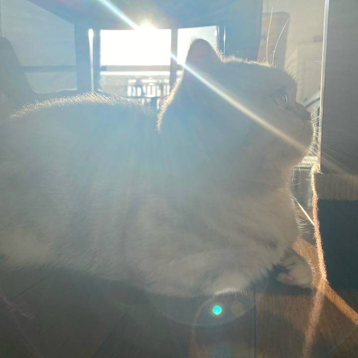 65edd688 c15a 49da 81e5 685ea8fcee13 1764457459015