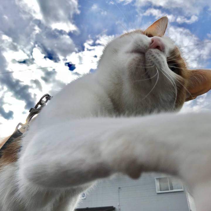 65ede0f7 29e2 4e0b 94a4 eb4b9280129c 1512193104037