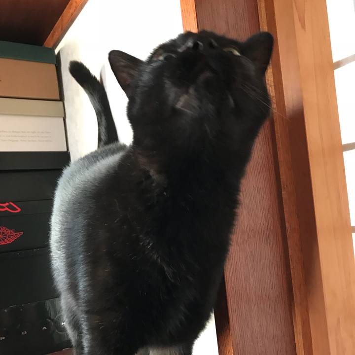 65ee095a 4348 4796 ac79 6b24bd122a4d 1511313606852