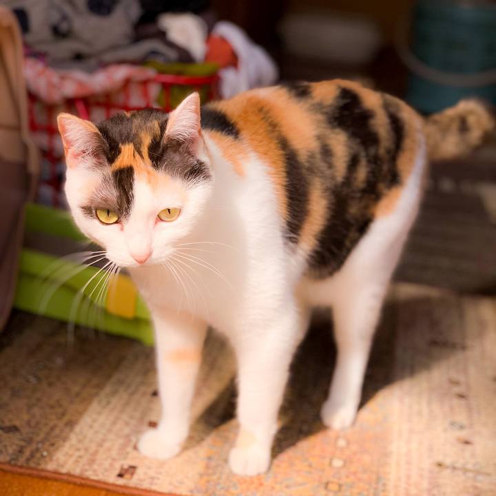 65ee15c0 0e92 42c5 9908 cf8354d00a3b 1562897841660