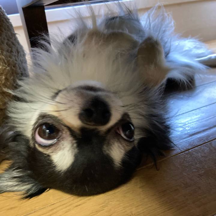 65ee1700 56c4 4e59 b217 a796b5a14f44 1656738374010