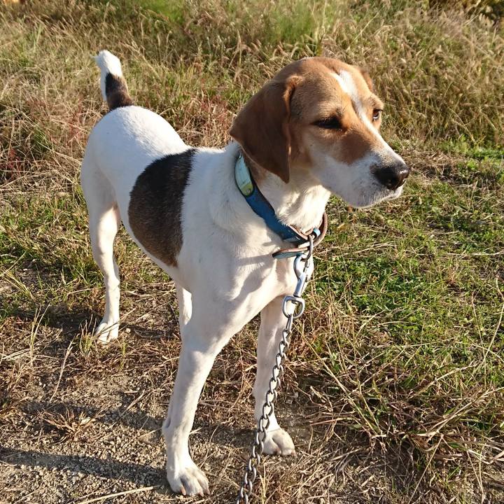 65ee233a 8bbf 4bc0 ad51 af0d6989b2a2 1573289695919