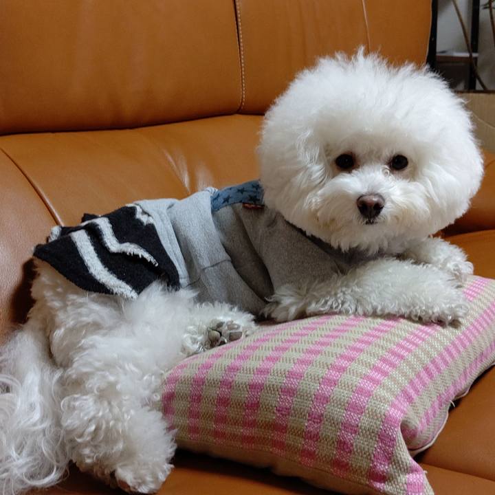 65ee287e 378a 4565 bfc8 48db37d0f3b3 1575547564540