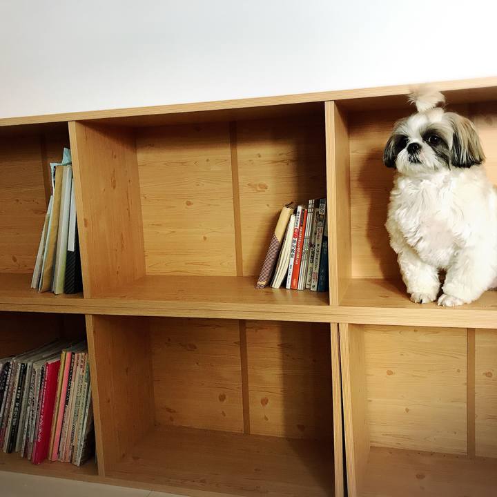 65ee375f 0316 4415 9b5d 6a81e6a17e11 1522925625365