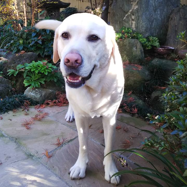 65ee4d55 34bd 458f bc2e cebc05ebdaa9 1575795083915