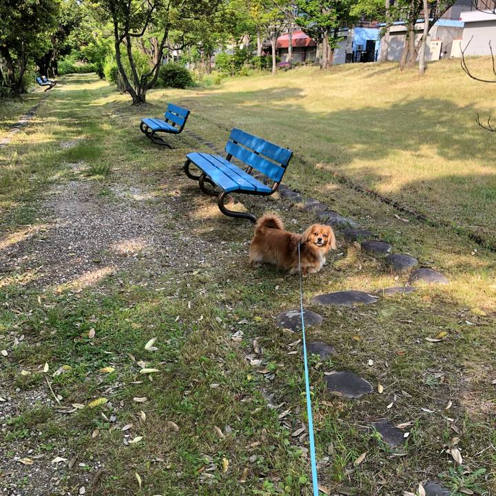 65ee5098 5f19 4188 afcc bd4fd9c91095 1558827776126