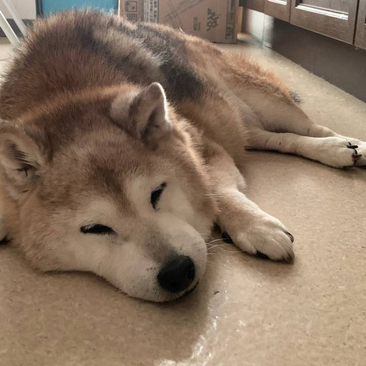 65ee6e01 918f 4cbc 9363 fe8ed8569c05 1695343964791