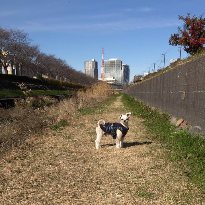 65ee8f6a 0ec9 43ab b24b a21f00b05387 1546238767261