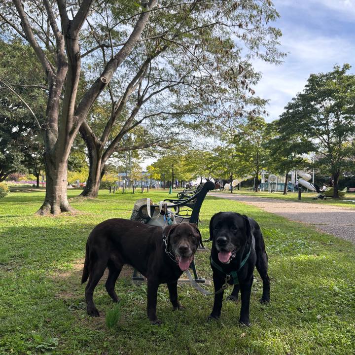 65eea0c1 1f3f 48e2 b37c a25314f94fc8 1760446347222