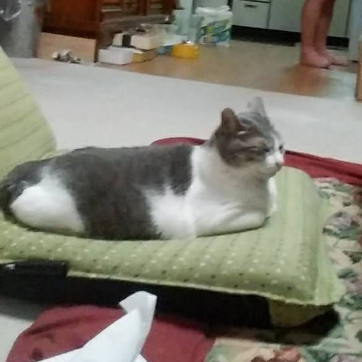 65eea510 3b1d 4d58 96b2 fd2a45d16af7 1553775850574