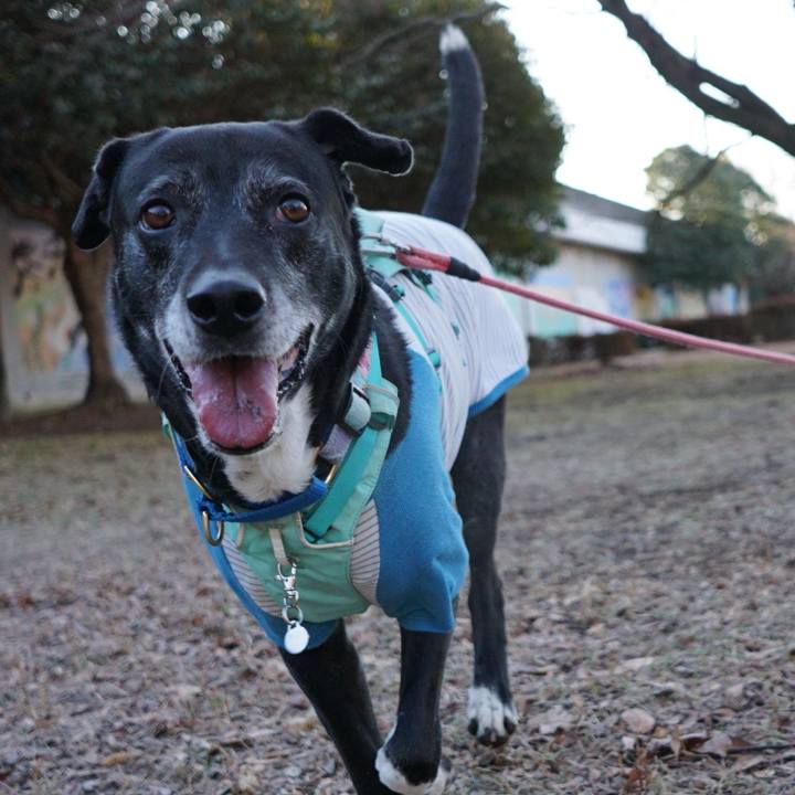 65eee746 f52d 4ed6 b8bc 7015e4a803d0 1771029977887