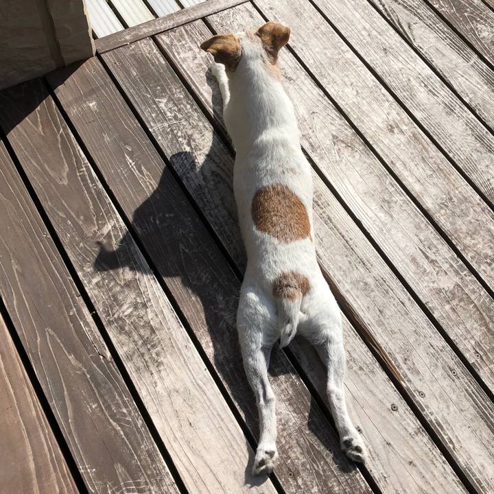 65eef4e7 eb60 48ea 8397 bd8e88ae3d78 1543460853847