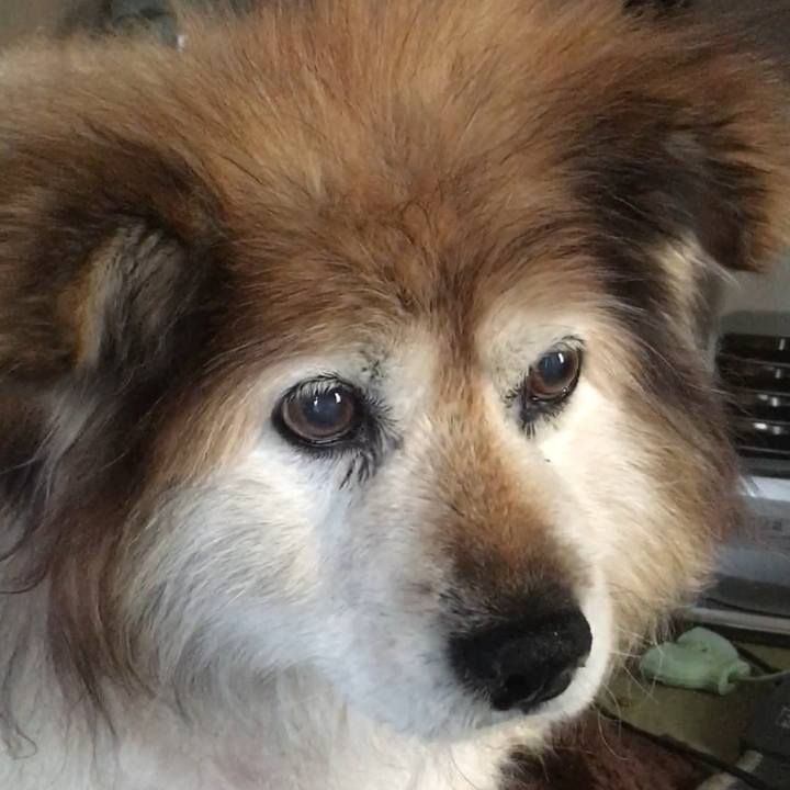 65ef0cf2 b984 4b4e bf94 7dce7a91d5dc 1582005521809