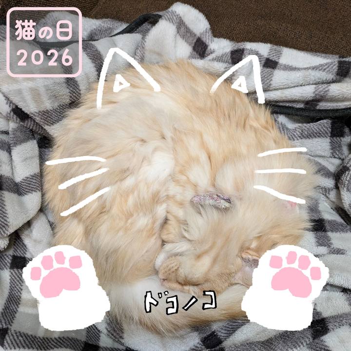 65ef350c 7a36 4d9d 9a91 7768bef99d8a 1771718067053