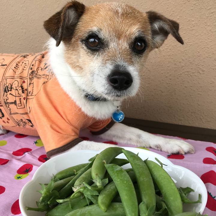 65ef42a2 a358 4045 9734 203a43aa0fe3 1590034300733