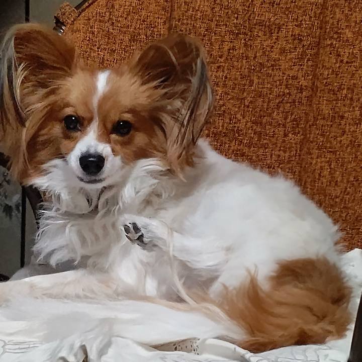 65ef5af5 9810 4418 b988 e6d613a32a22 1739093831946