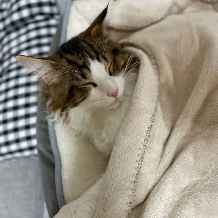 65ef7889 6860 4e71 a14b 235dd8960781 1640171828092