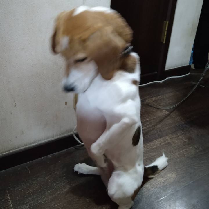 65ef7b65 d2cf 45eb 91b9 23f5d7d54255 1644129132879