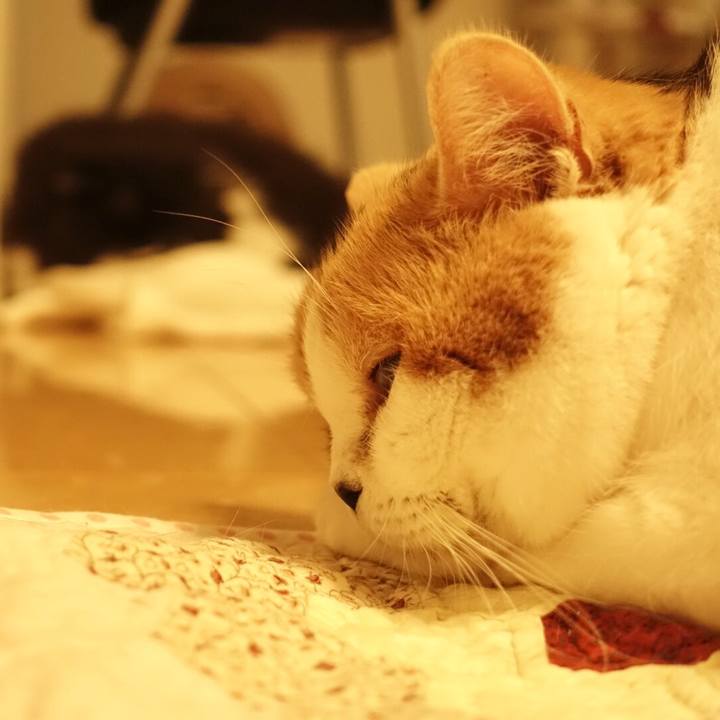 65ef948d 5653 4da7 b926 364a39ca692c 1541075239257