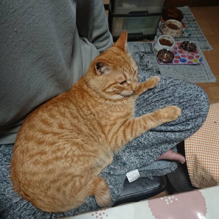 65efaadd f83e 43e1 beae 646ffd2853f6 1651061060984