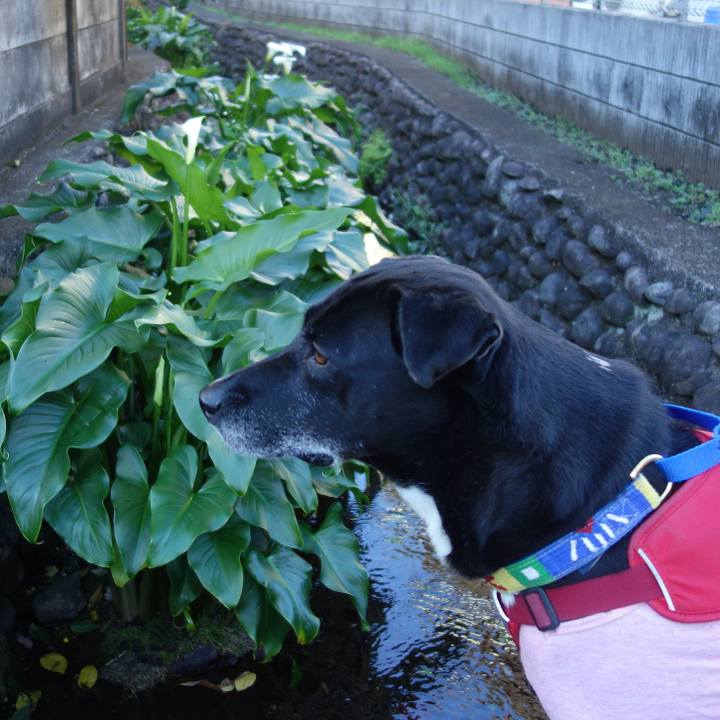 65efaaf8 18b6 4816 9c6b 390c0c568e13 1670810971536