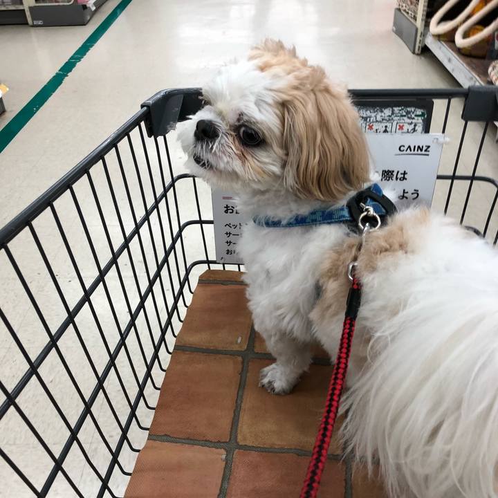 65efae2e 2198 4568 b4c7 350d1e4c5db1 1541022361424