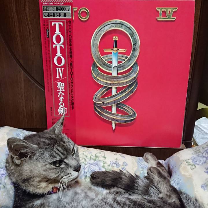 65efd911 5d87 434f 8020 094a12f38d43 1594209156793