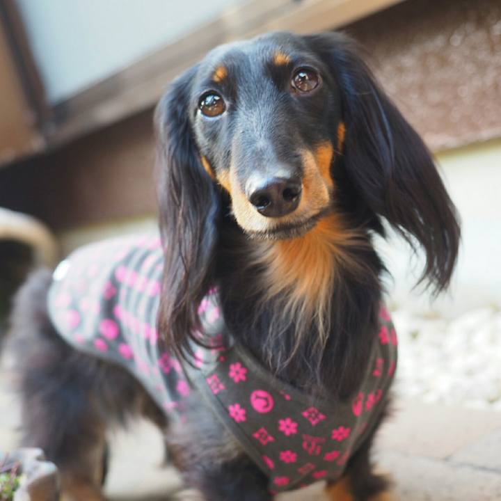 65efd93c a379 4be0 bcbb 29b12f4eae18 1524885854438