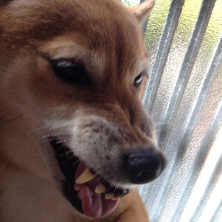 65efe7a9 ba03 405a ad56 21ff159dcaa7 1510884659293