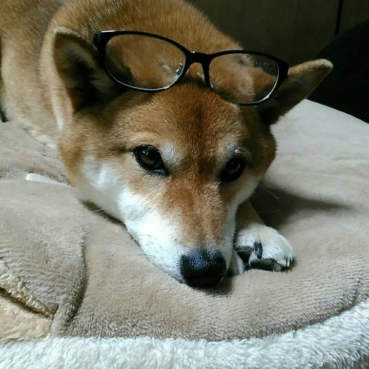 65efea08 fd0c 497f b897 1835a9665e57 1557976727681