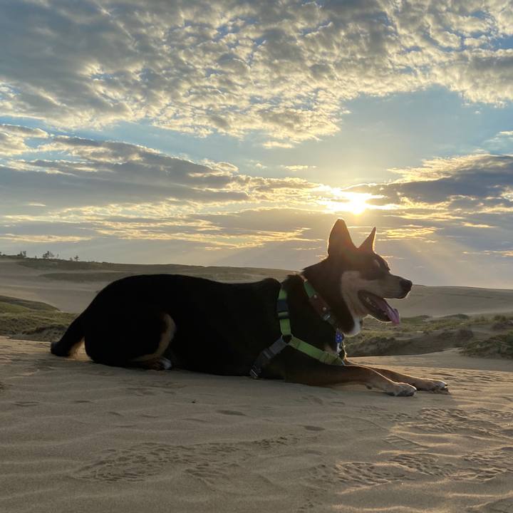 65f01096 6c6c 44e0 bd6c 6a2479027d2b 1632140031783