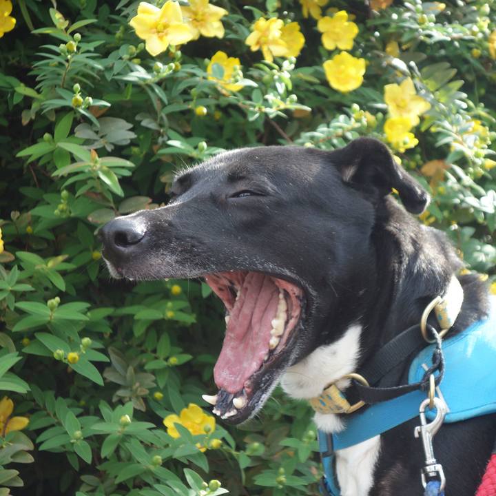 65f01408 a2d9 45f8 8dc2 0a684cc85752 1621814032851