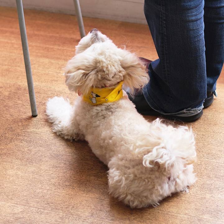 65f05cea 54a3 4280 94da 2895df38a071 1578367142412