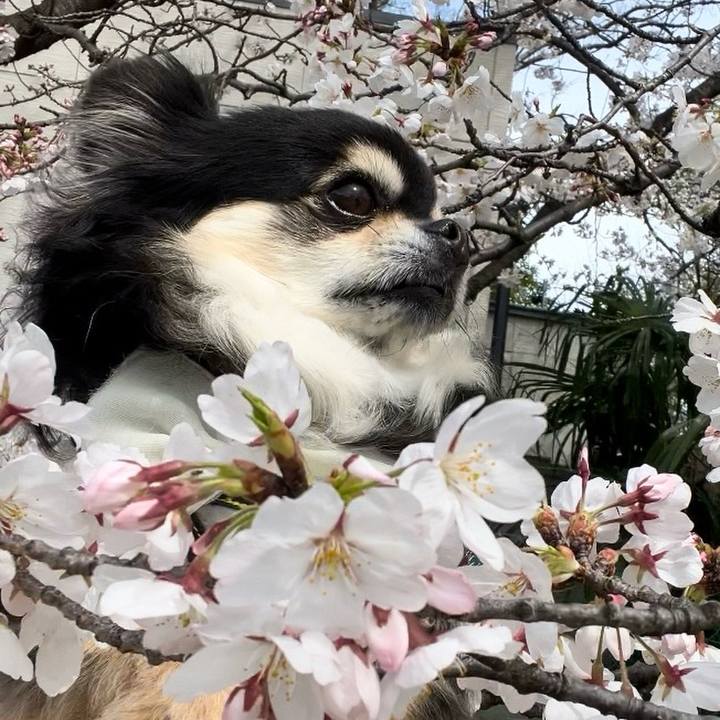 65f0ad98 031c 43c6 8f2e e771e611a39a 1712274865659