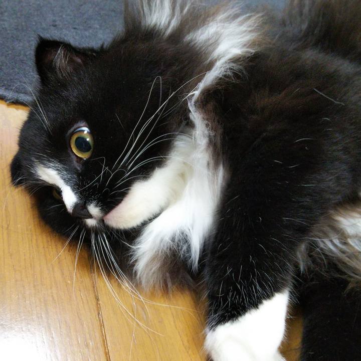 65f0c999 8a6d 43cf b71e 353900974afe 1655869192710