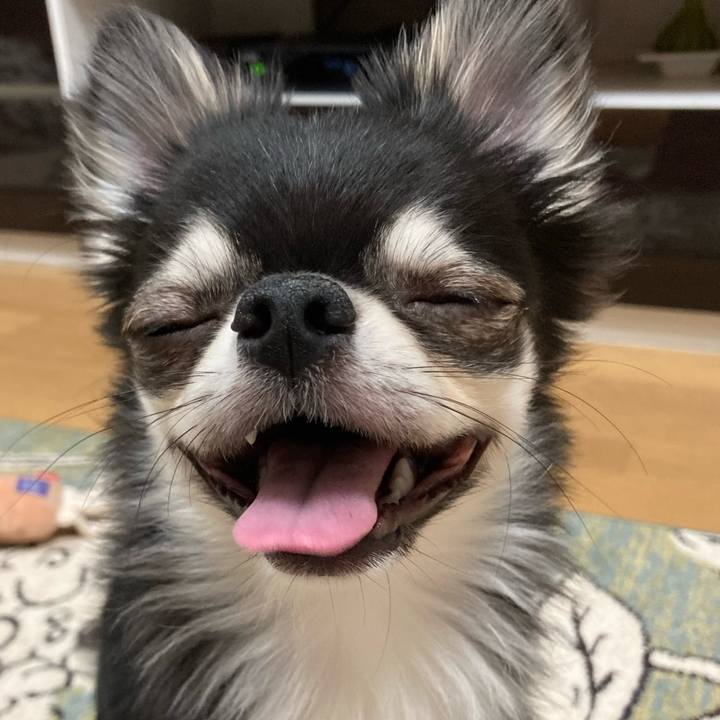 65f0dc3a 99e4 45d7 a603 8dbb63a0a466 1620484377539