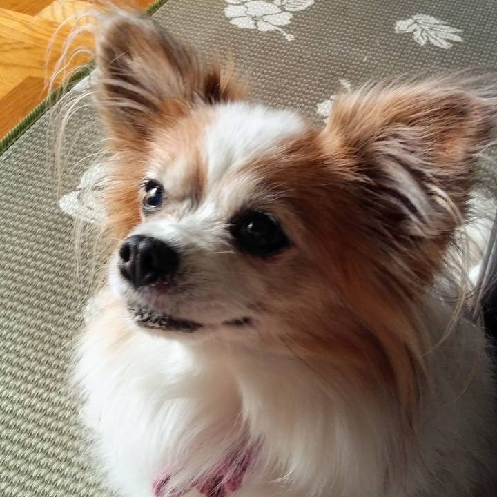 65f0df71 f198 417f a015 2627de5ba983 1534043927858