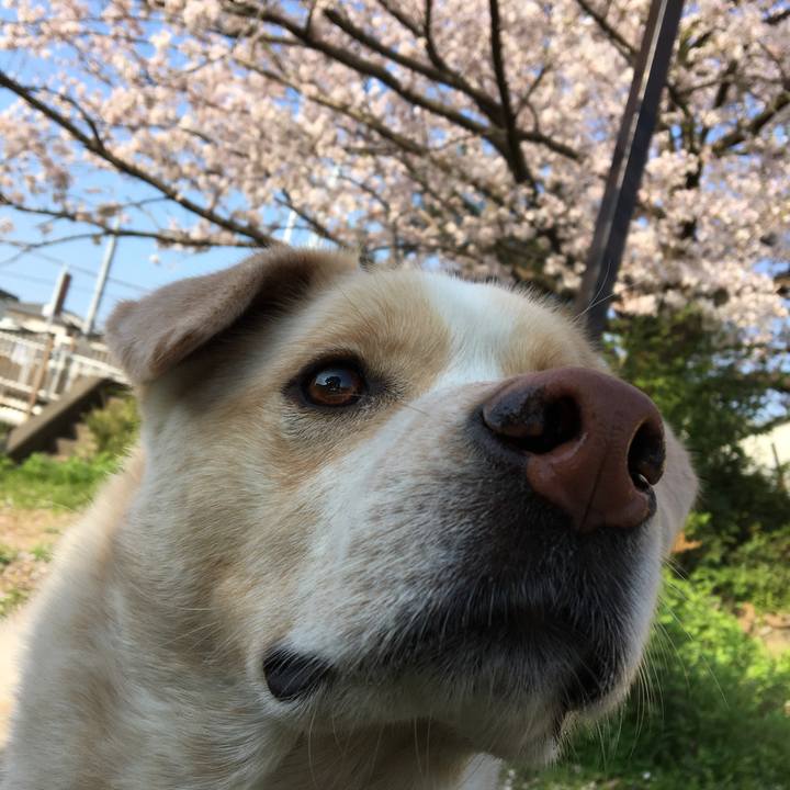 65f1302c fafb 40b2 8943 63684b378448 1522381109906