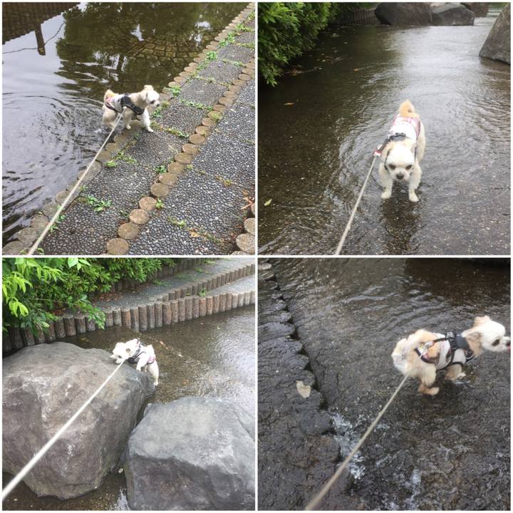 65f13575 20b1 4677 865a eec5b8ac84dd 1559984380085