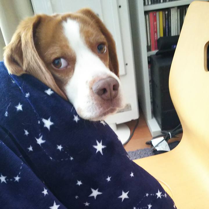 65f14e51 826c 45dc b310 9e7afb930433 1583563683481