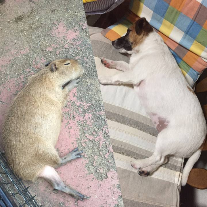 65f18d45 9ff3 4518 b79a 34197cd950db 1566050948394