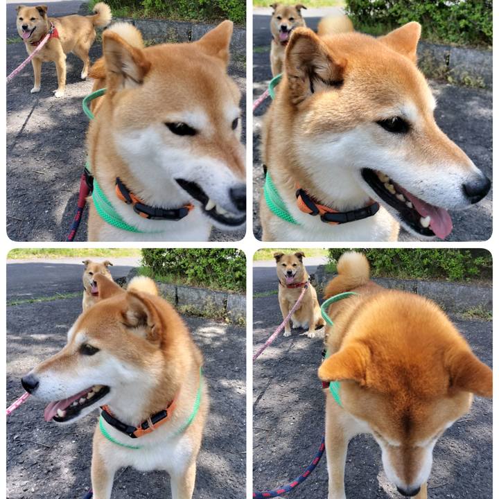 65f19c4c 0ec2 4006 97bc a314ebcbe7d4 1749368789742